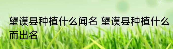 望谟县种植什么闻名 望谟县种植什么而出名