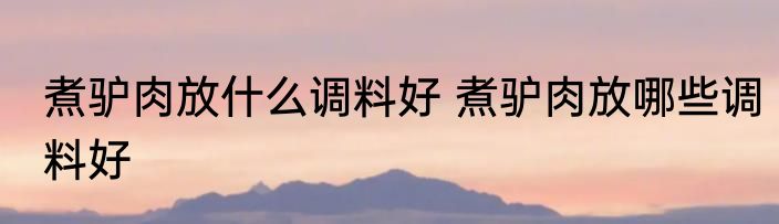 煮驴肉放什么调料好 煮驴肉放哪些调料好