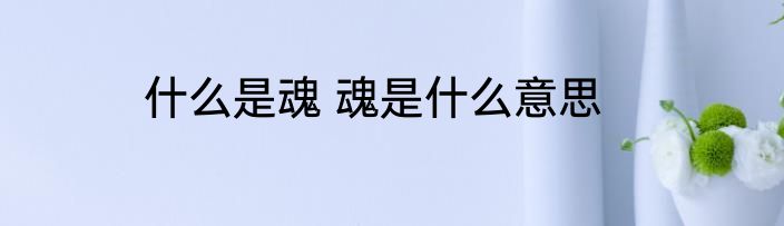 什么是魂 魂是什么意思