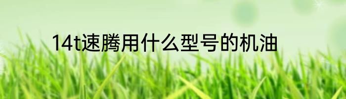 14t速腾用什么型号的机油