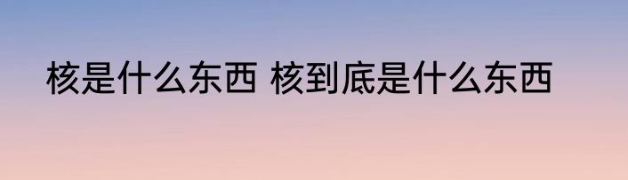 核是什么东西 核到底是什么东西