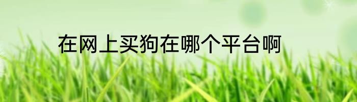 在网上买狗在哪个平台啊