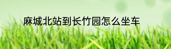 麻城北站到长竹园怎么坐车