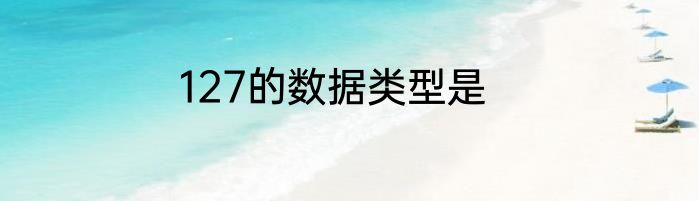 127的数据类型是