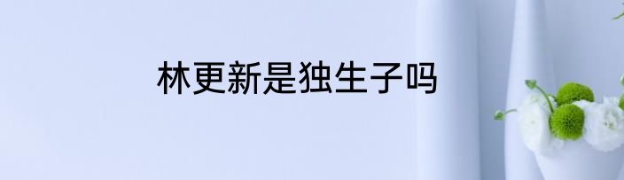 林更新是独生子吗