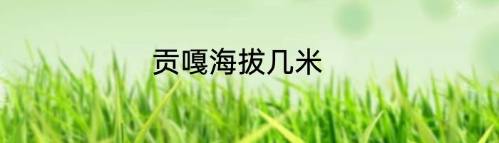 贡嘎海拔几米