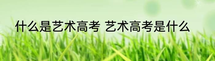 什么是艺术高考 艺术高考是什么