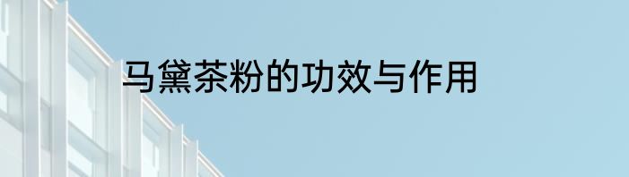 马黛茶粉的功效与作用
