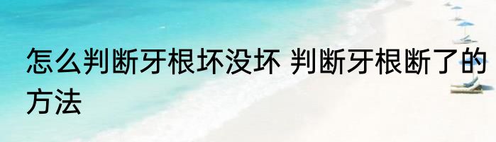 第八区的介绍 什么是第八区