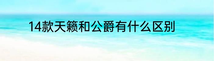 14款天籁和公爵有什么区别