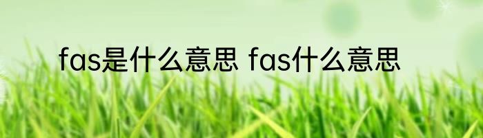fas是什么意思 fas什么意思