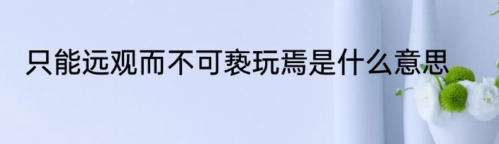 只能远观而不可亵玩焉是什么意思