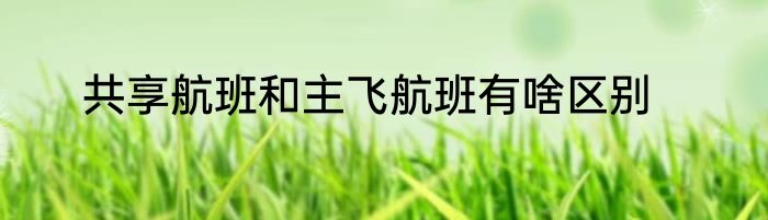 共享航班和主飞航班有啥区别