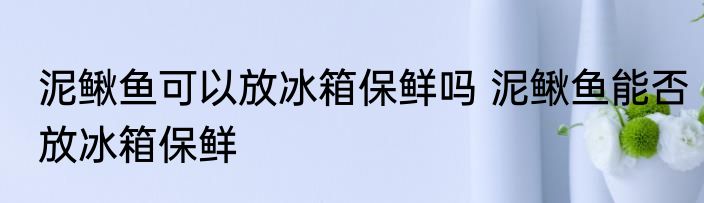 泥鳅鱼可以放冰箱保鲜吗 泥鳅鱼能否放冰箱保鲜