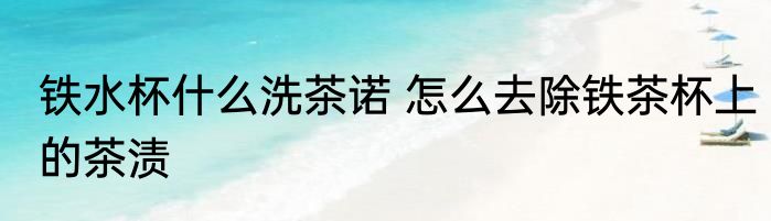 铁水杯什么洗茶诺 怎么去除铁茶杯上的茶渍