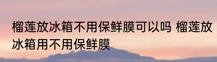 榴莲放冰箱不用保鲜膜可以吗 榴莲放冰箱用不用保鲜膜