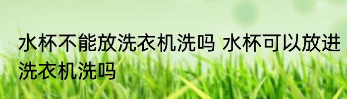 水杯不能放洗衣机洗吗 水杯可以放进洗衣机洗吗