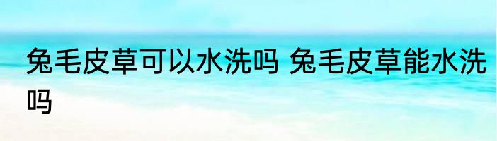兔毛皮草可以水洗吗 兔毛皮草能水洗吗