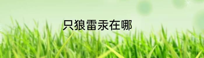 只狼雷汞在哪