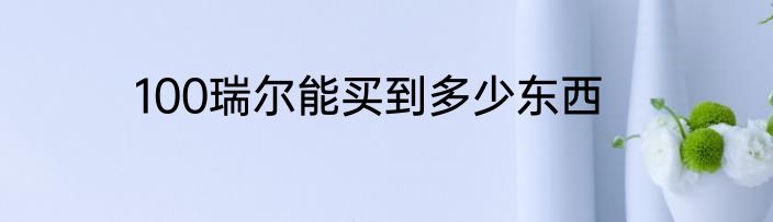 100瑞尔能买到多少东西