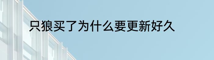只狼买了为什么要更新好久