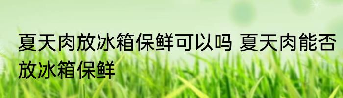 夏天肉放冰箱保鲜可以吗 夏天肉能否放冰箱保鲜