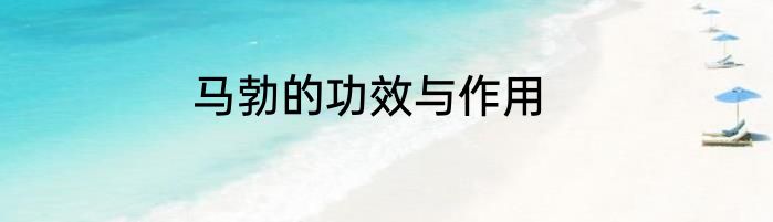 马勃的功效与作用