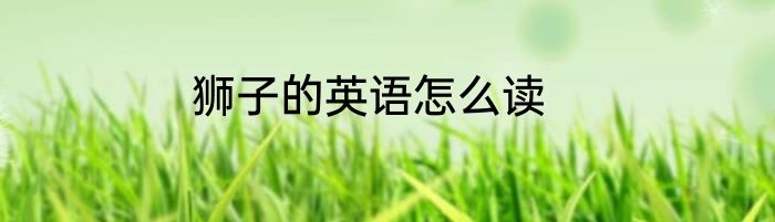 狮子的英语怎么读