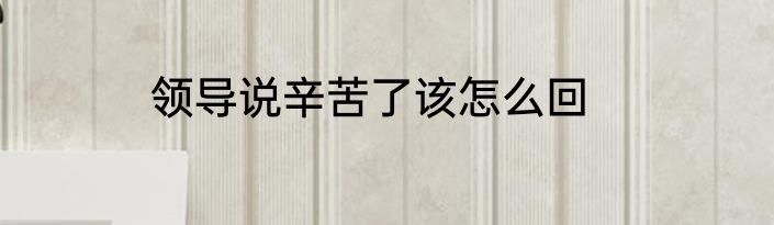 领导说辛苦了该怎么回