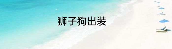 狮子狗出装