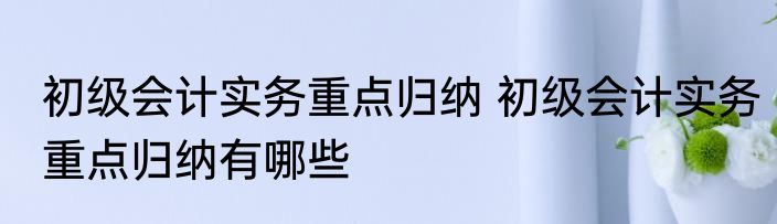 初级会计实务重点归纳 初级会计实务重点归纳有哪些