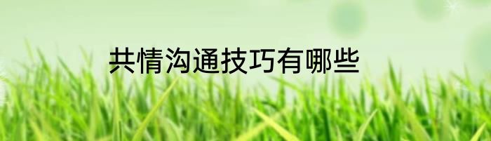 共情沟通技巧有哪些