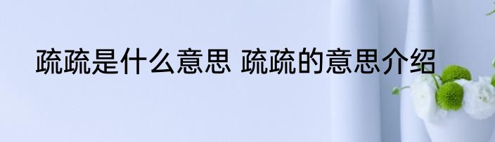 疏疏是什么意思 疏疏的意思介绍