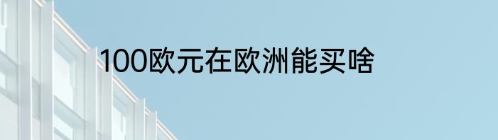100欧元在欧洲能买啥