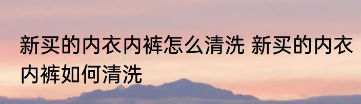 新买的内衣内裤怎么清洗 新买的内衣内裤如何清洗