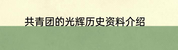 共青团的光辉历史资料介绍