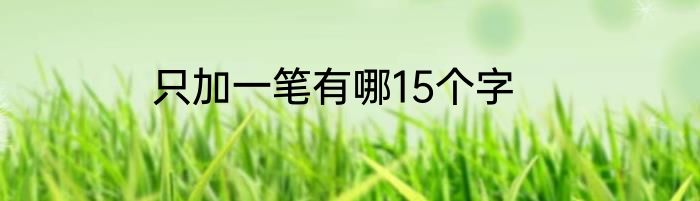 只加一笔有哪15个字