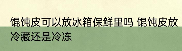 馄饨皮可以放冰箱保鲜里吗 馄饨皮放冷藏还是冷冻