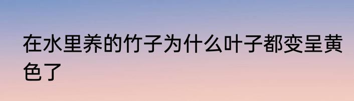 在水里养的竹子为什么叶子都变呈黄色了