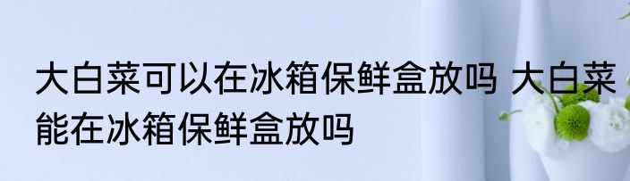 大白菜可以在冰箱保鲜盒放吗 大白菜能在冰箱保鲜盒放吗