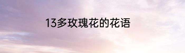 13多玫瑰花的花语
