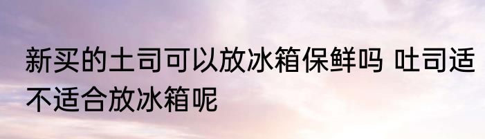 新买的土司可以放冰箱保鲜吗 吐司适不适合放冰箱呢