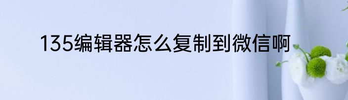 135编辑器怎么复制到微信啊