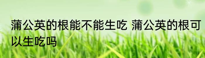 蒲公英的根能不能生吃 蒲公英的根可以生吃吗