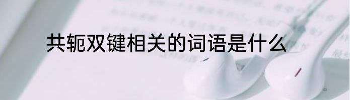 共轭双键相关的词语是什么