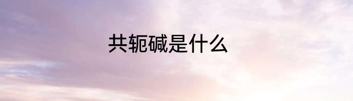 共轭碱是什么