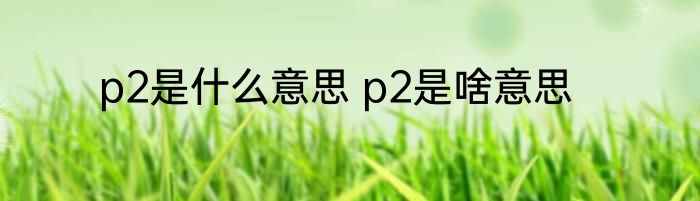 p2是什么意思 p2是啥意思