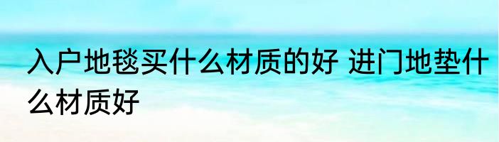 入户地毯买什么材质的好 进门地垫什么材质好