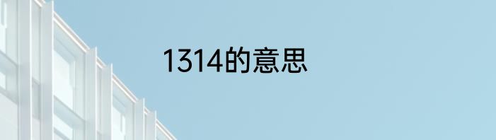 1314的意思