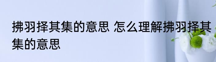 拂羽择其集的意思 怎么理解拂羽择其集的意思